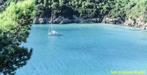 Foto: La bellissima spiaggia di Fetovaia