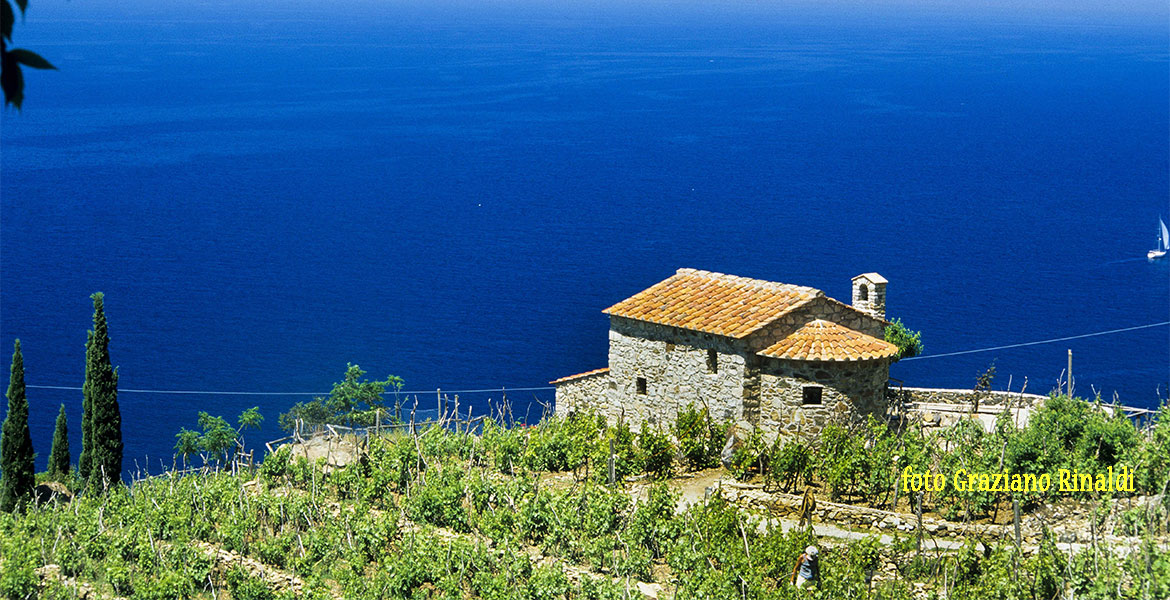 isola d'Elba_informazioni di base_campo lo Feno Chiessi