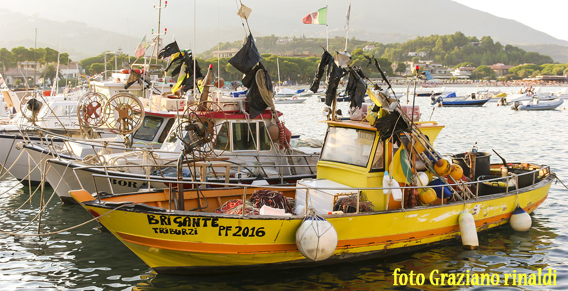 isola d'Elba_informazioni di base_marina di campo peschereccio