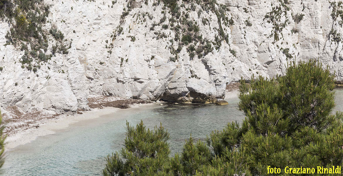 Isola d'Elba_Spiagge_Padulella_particolare scogleira massiccia parte centrale