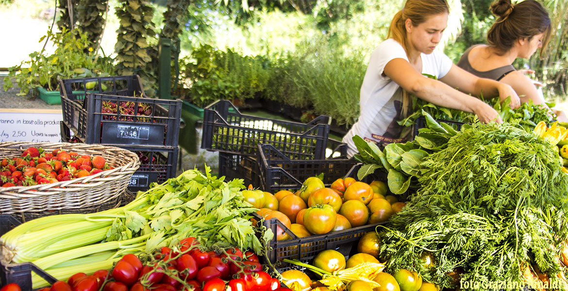 Isola d'Elba_Frutta e verdura locale_arance e pomodori