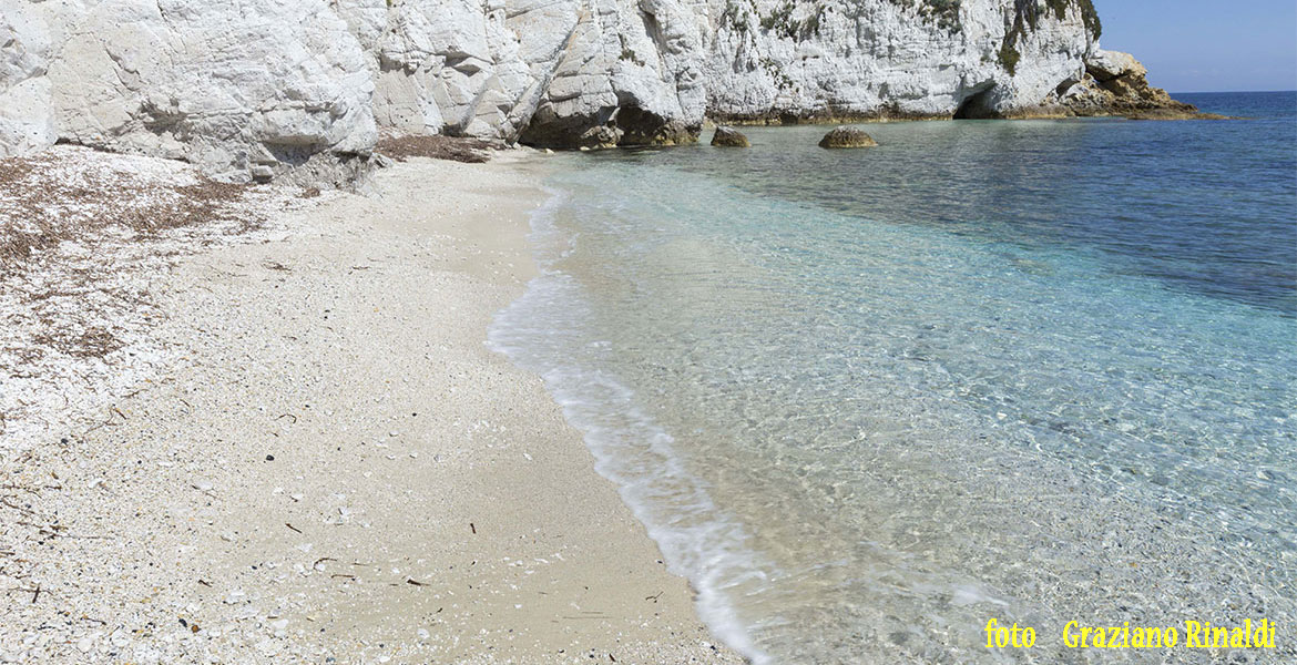 Isola d'Elba_Spiagge_Padulella_battigia e scogliera