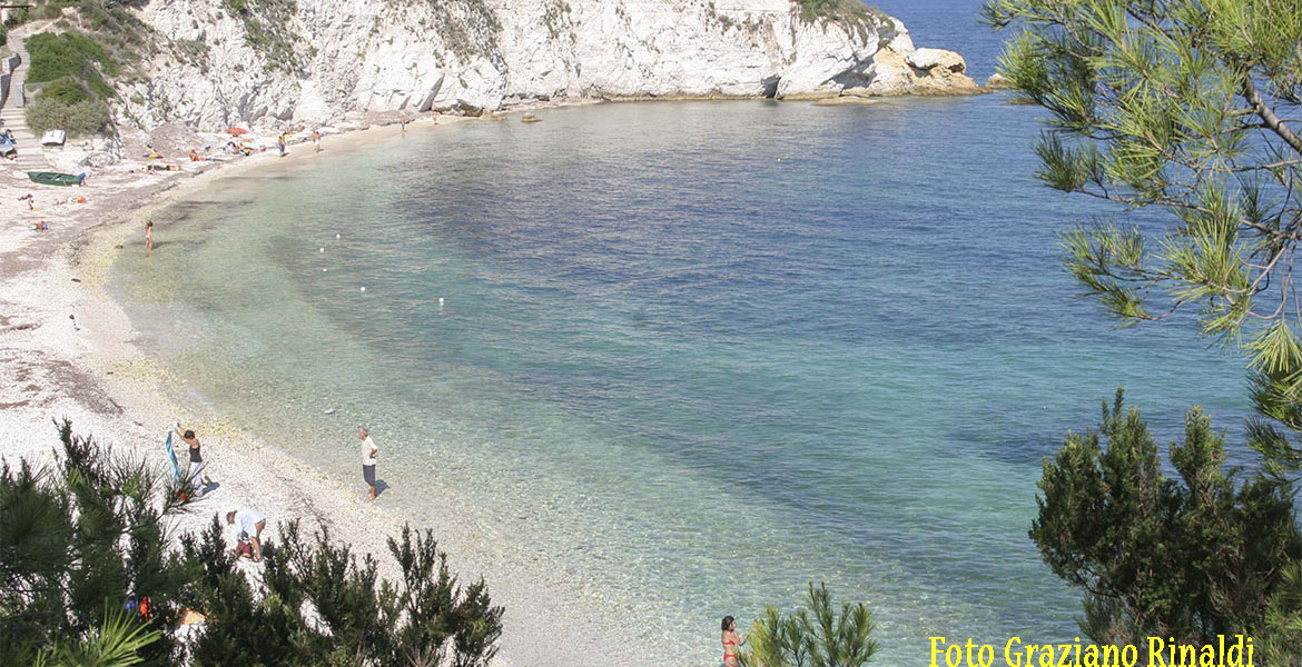 Isola d'Elba_Spiagge_Padulella_panoramica con bagnante maglietta bianca