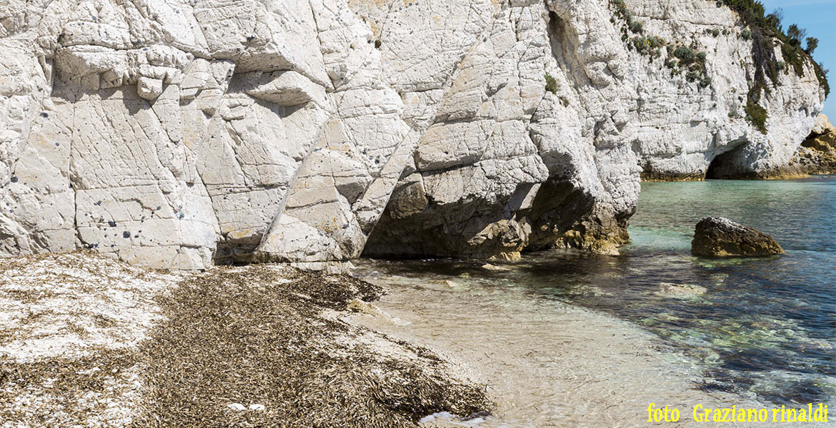 Isola d'Elba_Spiagge_Padulella_scogliera massiccia di eurite