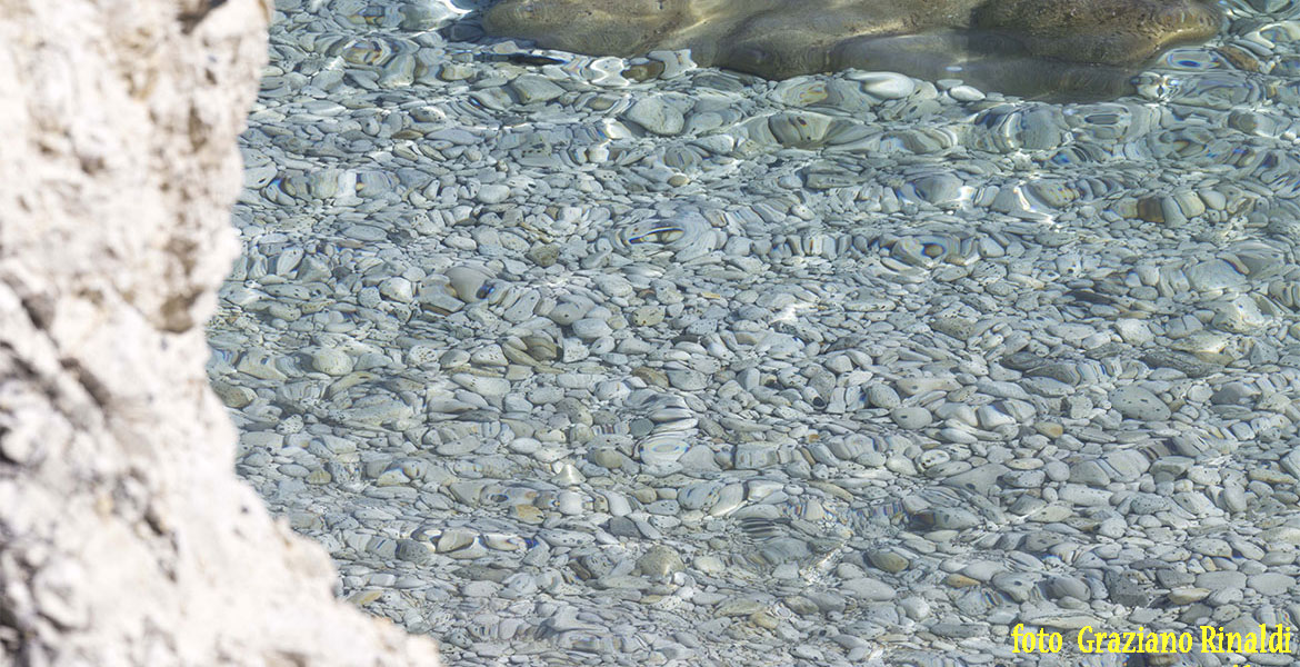 Isola d'Elba_Spiagge_Padulella_trasparenze su ghiaie di eurite