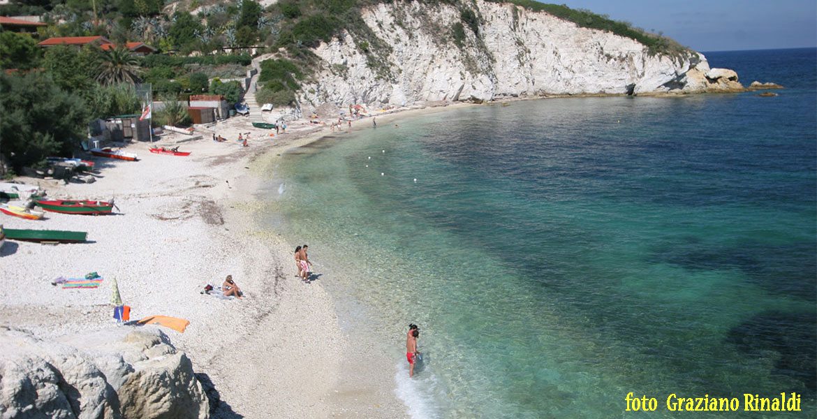 Isola d'Elba_Spiagge_Padulella_vista d'insieme con bagnanti e ristorante