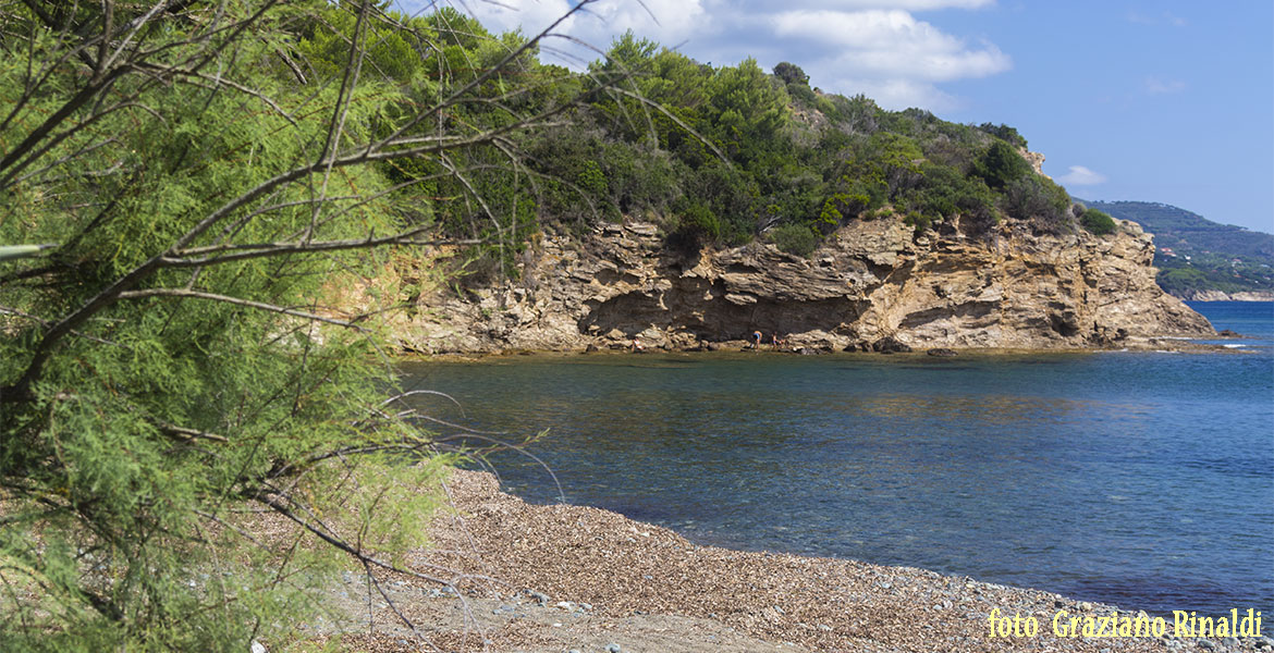 Spiagge dell'isola d'Elba_Norsi_parte destrascogliera