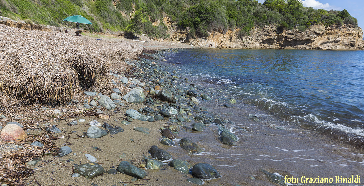 Spiagge dell'isola d'Elba_Norsi_tipologia di spiaggia con sabbia e sassi