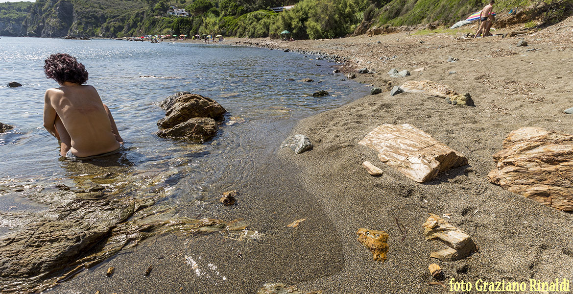 Spiagge dell'isola d'Elba_Norsi_parete rocciosa e spiaggia scogliera destra