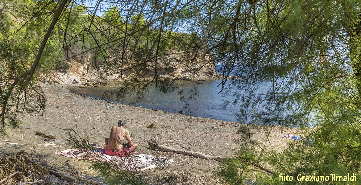 Spiagge dell'isola d'Elba_Norsi_al fresco delle tamerici scogliera destra