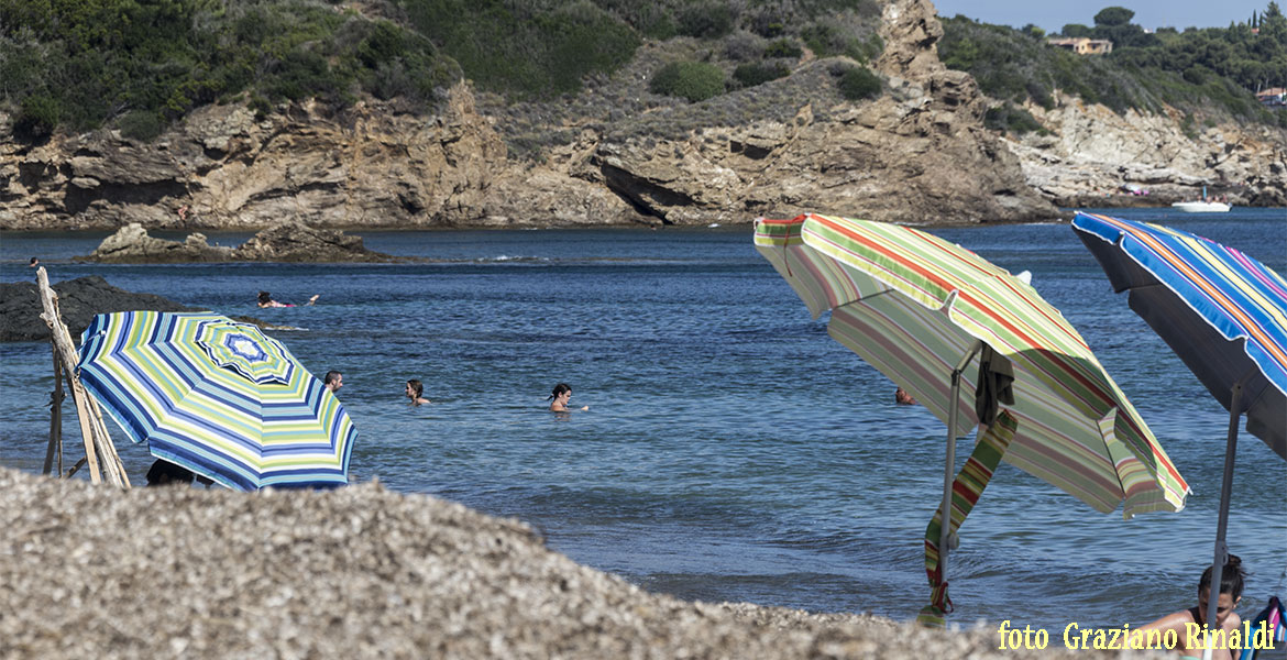 Spiagge dell'isola d'Elba_Norsi_relax tra le foglie secche di poseidonia e la spiaggia