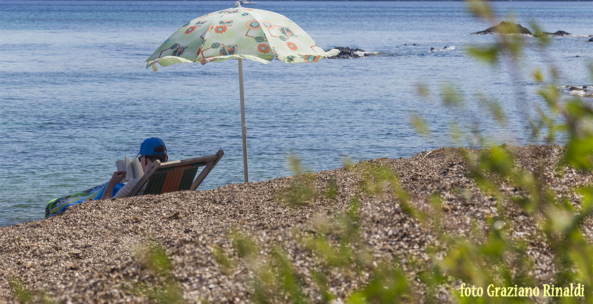 Spiagge dell'isola d'Elba_Norsi_sdraio e ombrelloni sulla spiaggia
