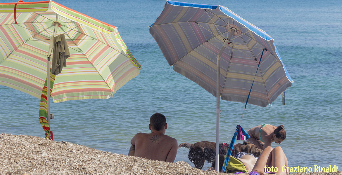 Spiagge dell'isola d'Elba_Norsi_spiaggia libera a volontà