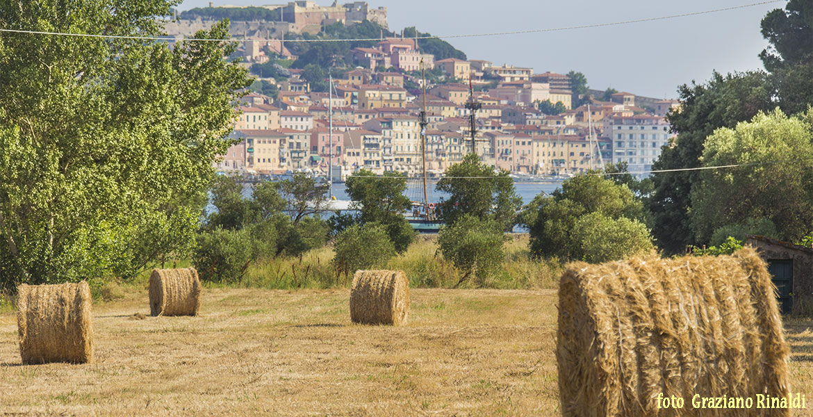 Portoferraio agricoltura