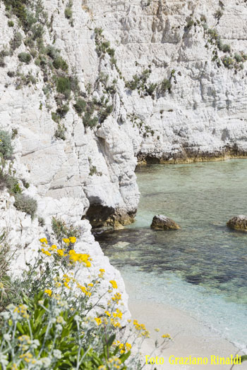 spiaggia_padulella_Elba