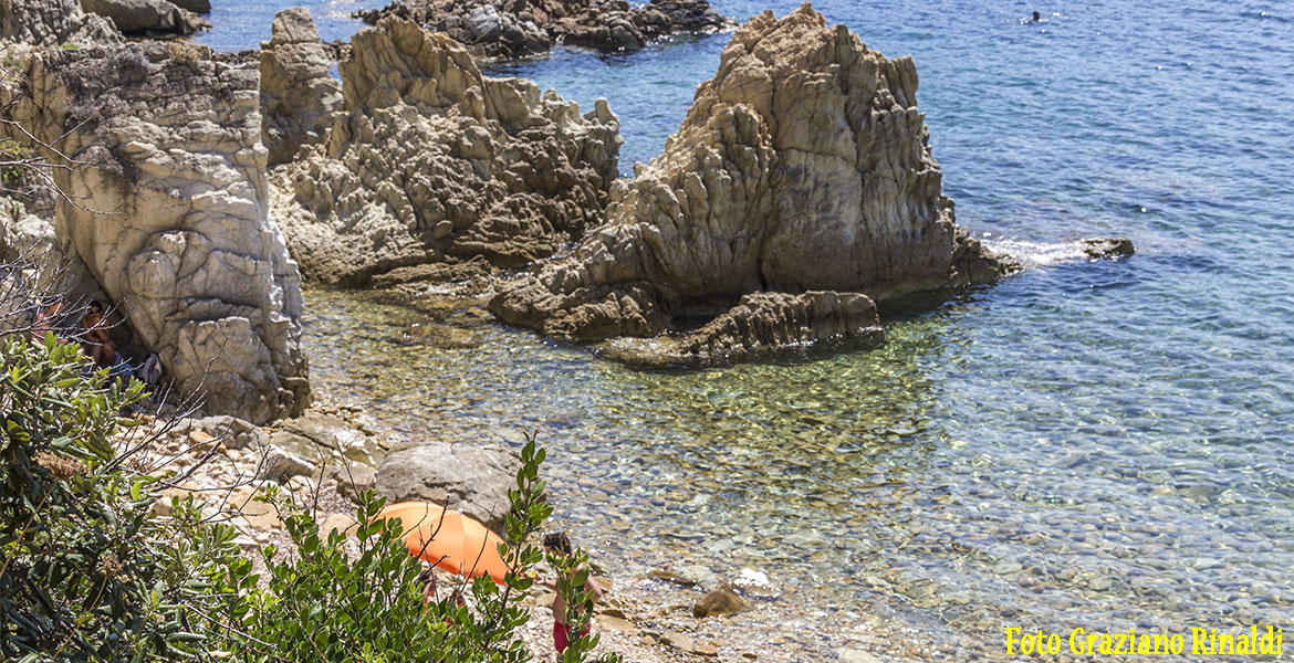 Spiagge isolad'Elba_Pinetina_Portoferraio