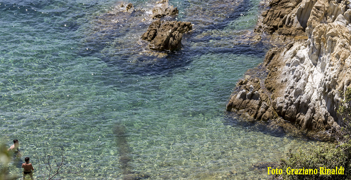 Spiaggia_Pinetina_Enfola