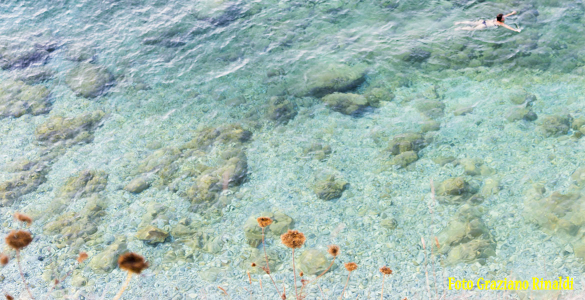 Spiagge Isola d'Elba_Spiaggia di Sansone_trasparenza del mare con fondale ciottoli di eurite