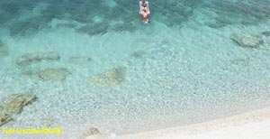 Foto: Sansone all’isola d’Elba
