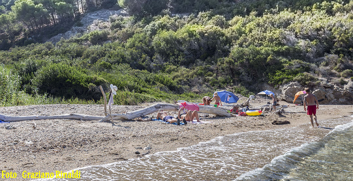 Spiagge Isola d'Elba_Spiaggia di Buzzancone