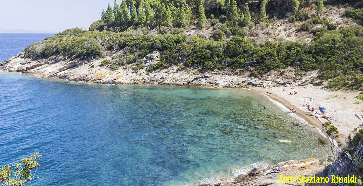 spiagge Elba