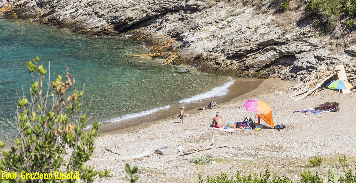 Buzzancone spiaggia di Capoliveri