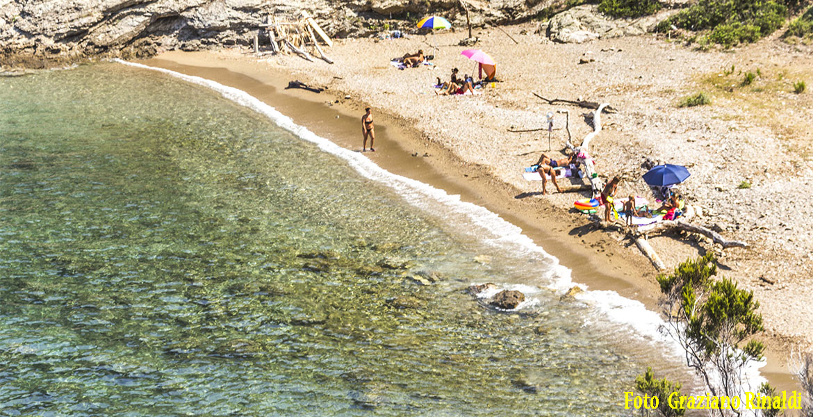 battigia spiaggia Capoliveri