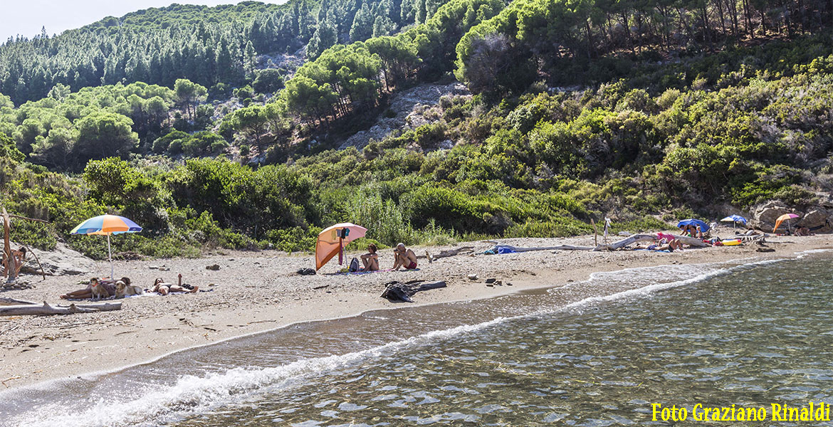 Elba isola