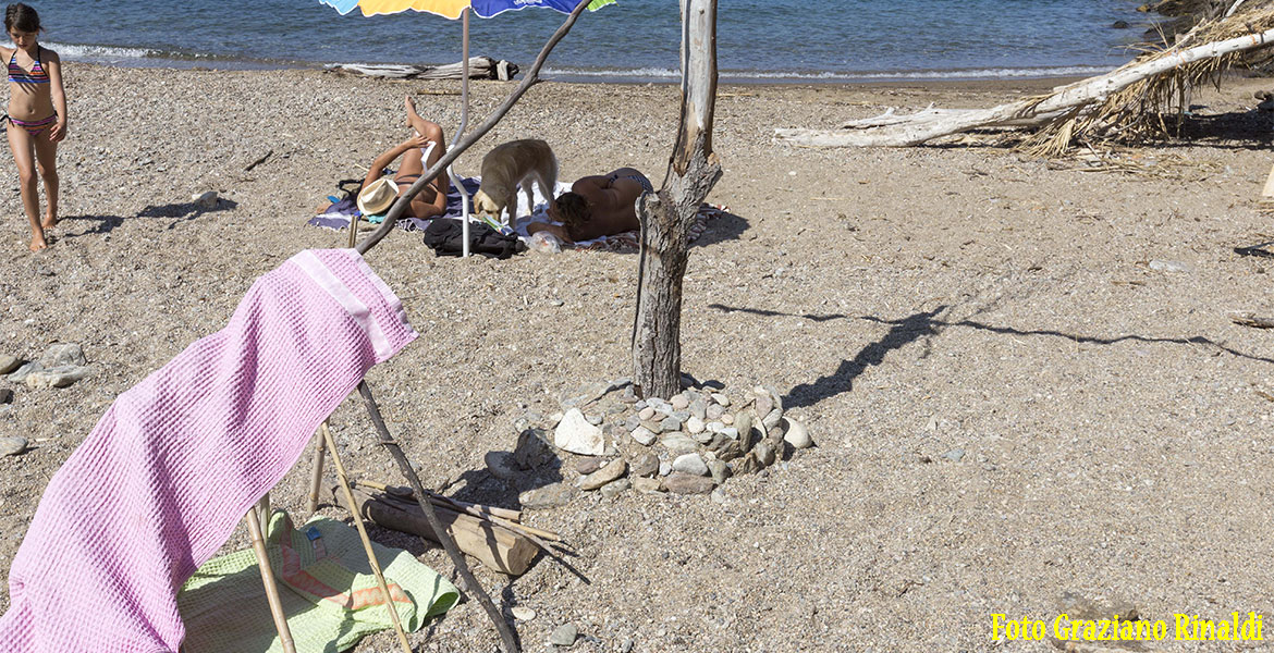 capanna con legni sulla spiaggia