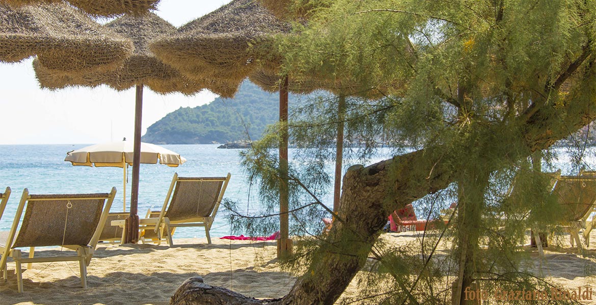 tamerice e sdraio spiaggia Marina di campo