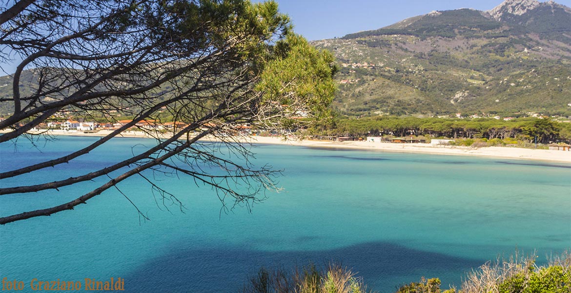 Maruina di campo in inverno spiaggia