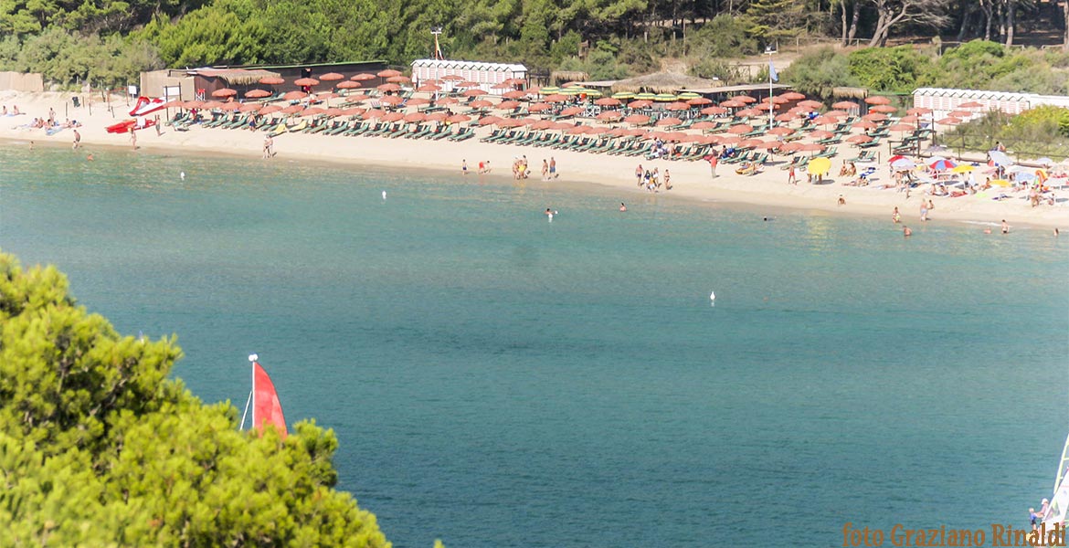 spiaggia Campo vista da Ischia