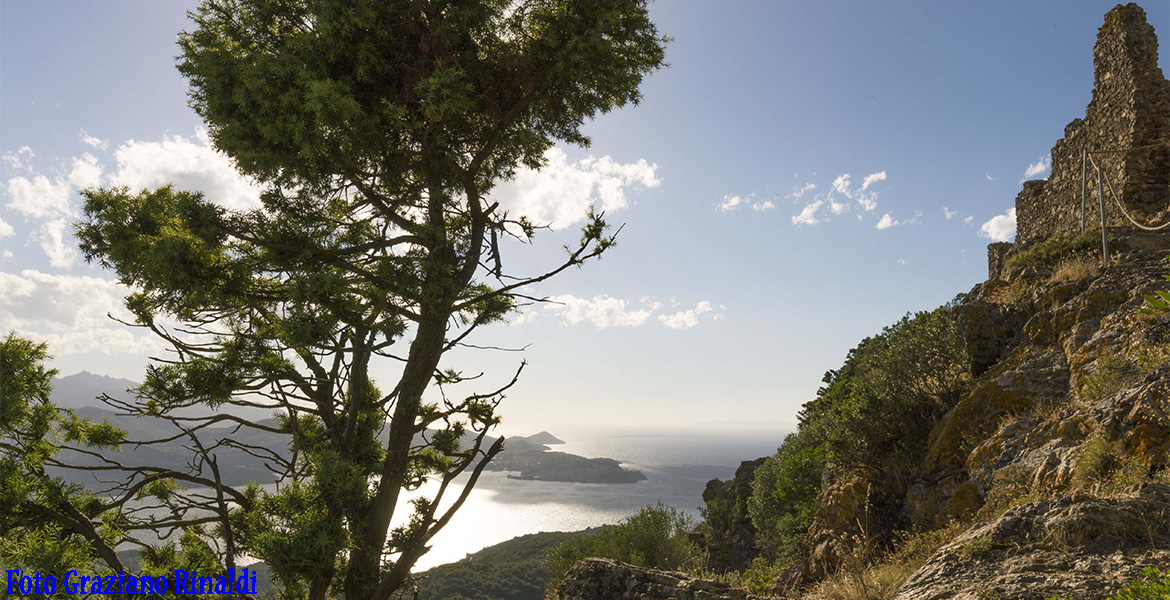 isola d'Elba archeologia