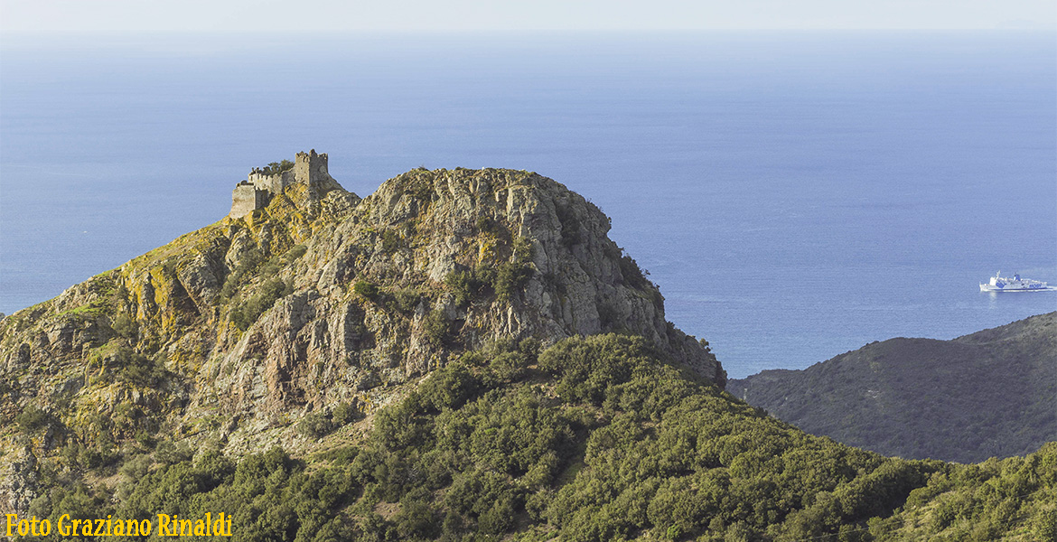 castello Volterraio Elba