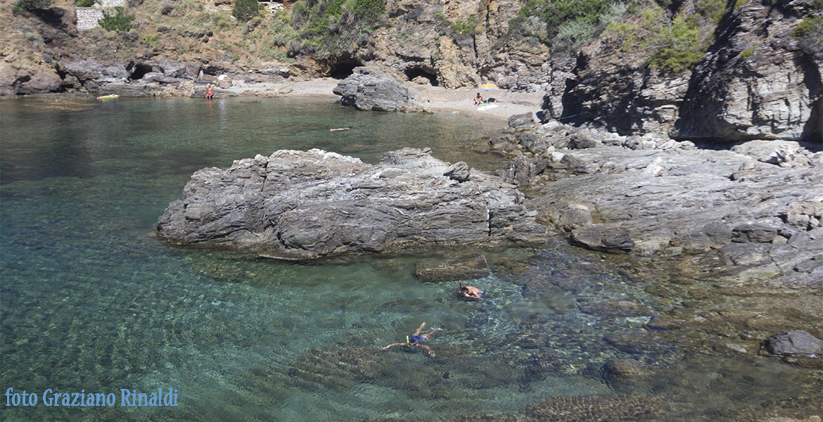 7 spiagge dell'isola d'Elba poco conosciute_Felciaio Capoliveri