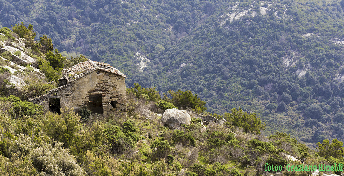 paesaggi dell'isola d'Elba