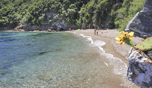 7 spiagge dell'isola d'Elba poco conosciute_Porticciolo presso rio marina