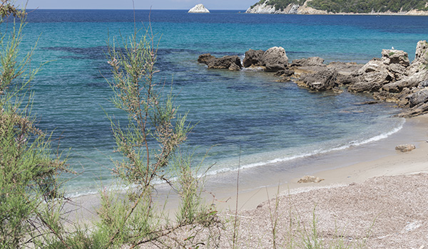 7 spiagge dell'isola d'Elba poco conosciute_spiaggia di Viticcio nel golfo dell'Enfola