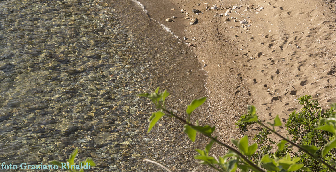 sabbia spiaggia Peducelli Capoliveri