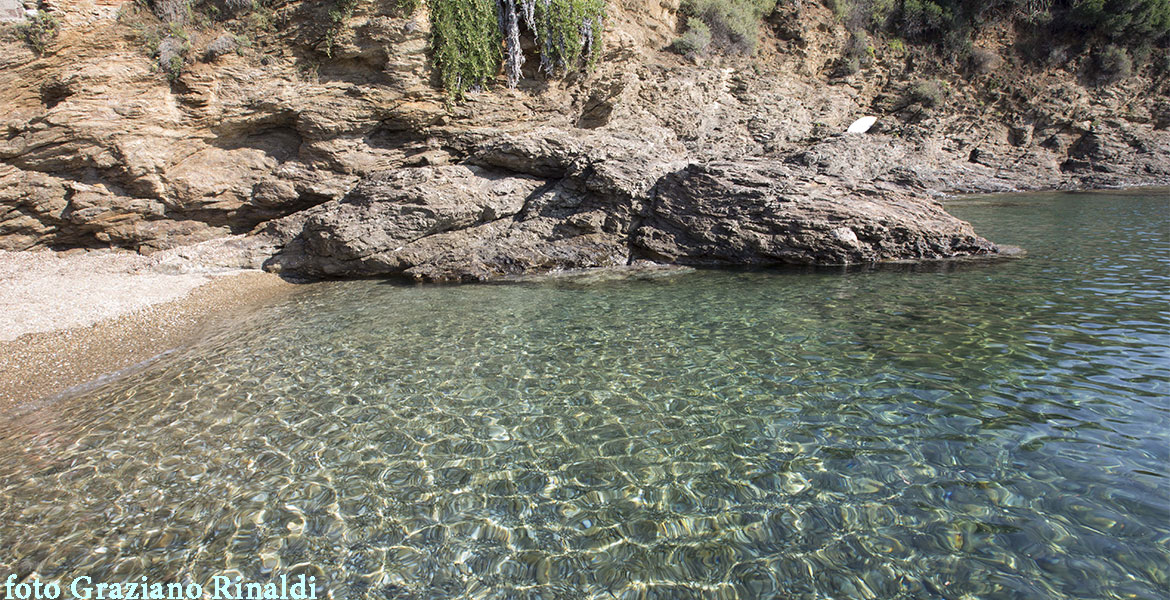 trasparenze acqua cala Peducelli Elba