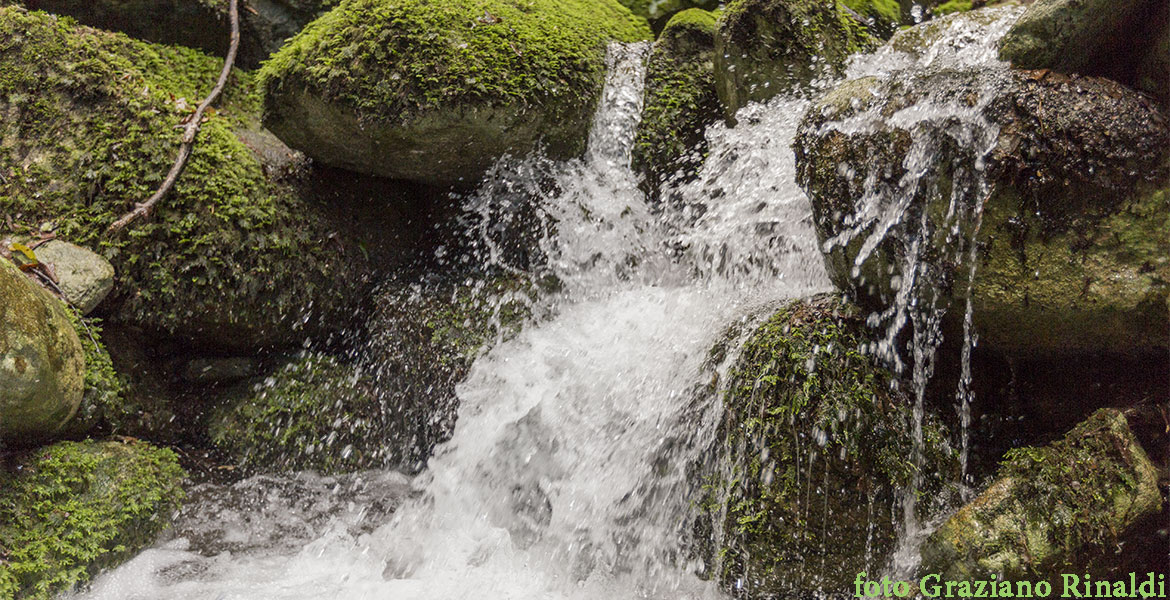 acqua che corre molto velocemente Valle Nivera isola d'Elba