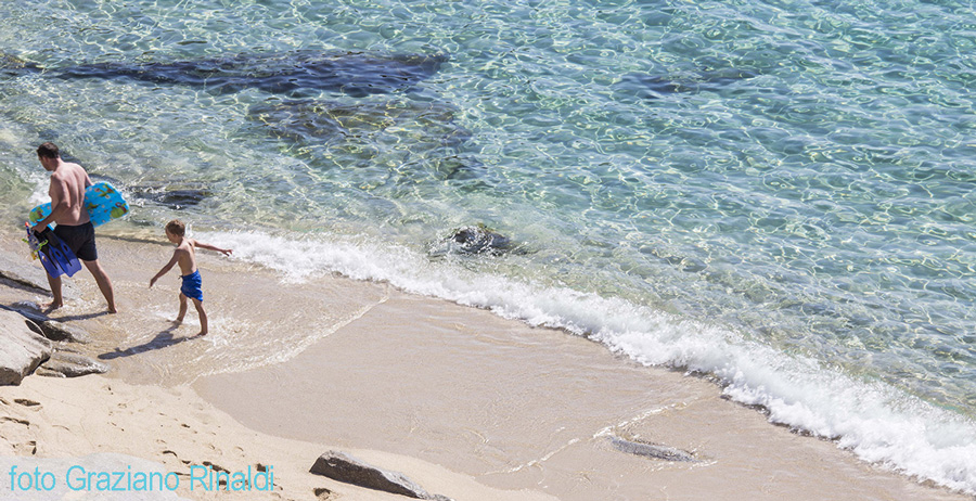 Cavoli spiaggi padre e bambini