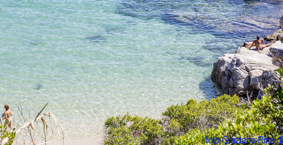 spiaggia Cavoli tra gli scogli