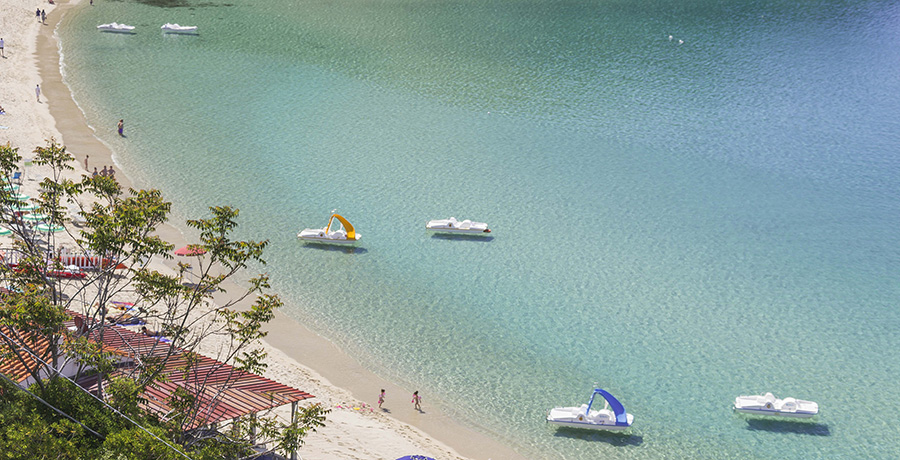 Cavoli spiaggia con pattini