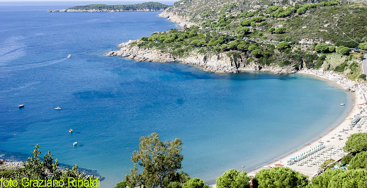 spiaggia di Cavoli panoramica spiaggia con fetovaia all'orizzonte