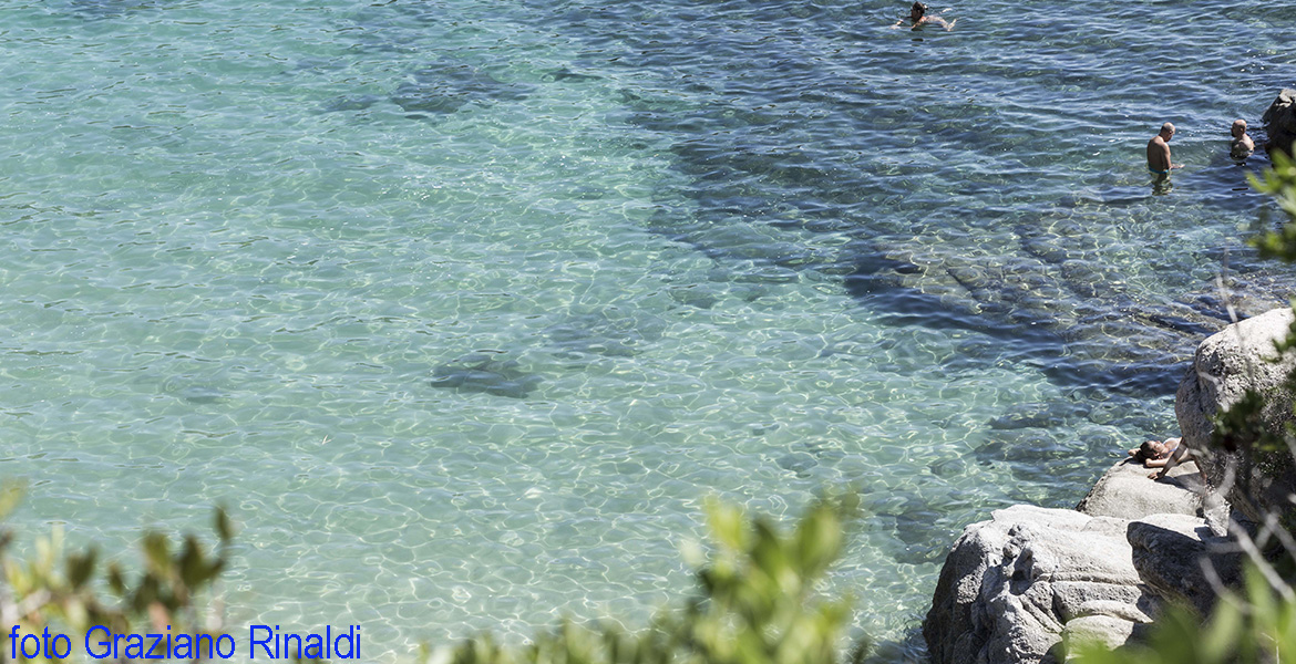 spiaggia di Cavoli trasparenze