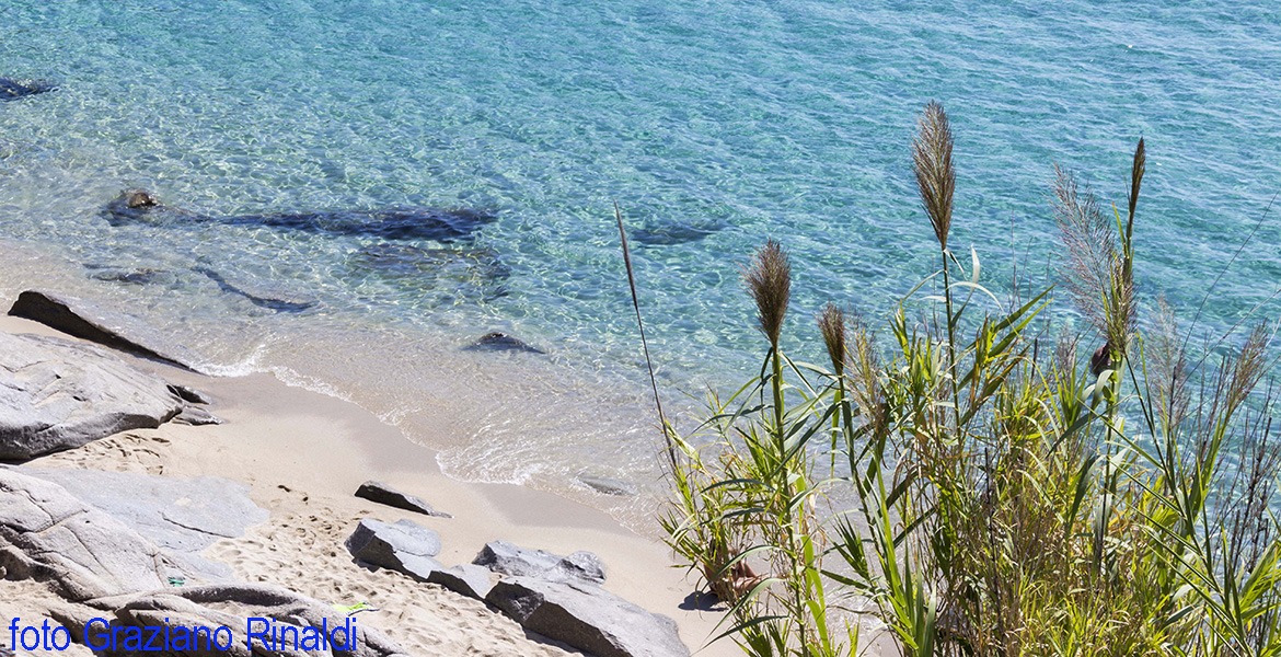 spiaggia di Cavoli canne sul mare