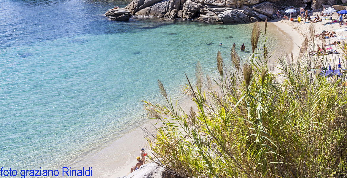 spiaggia di Cavoli parte occidentale della spiaggia