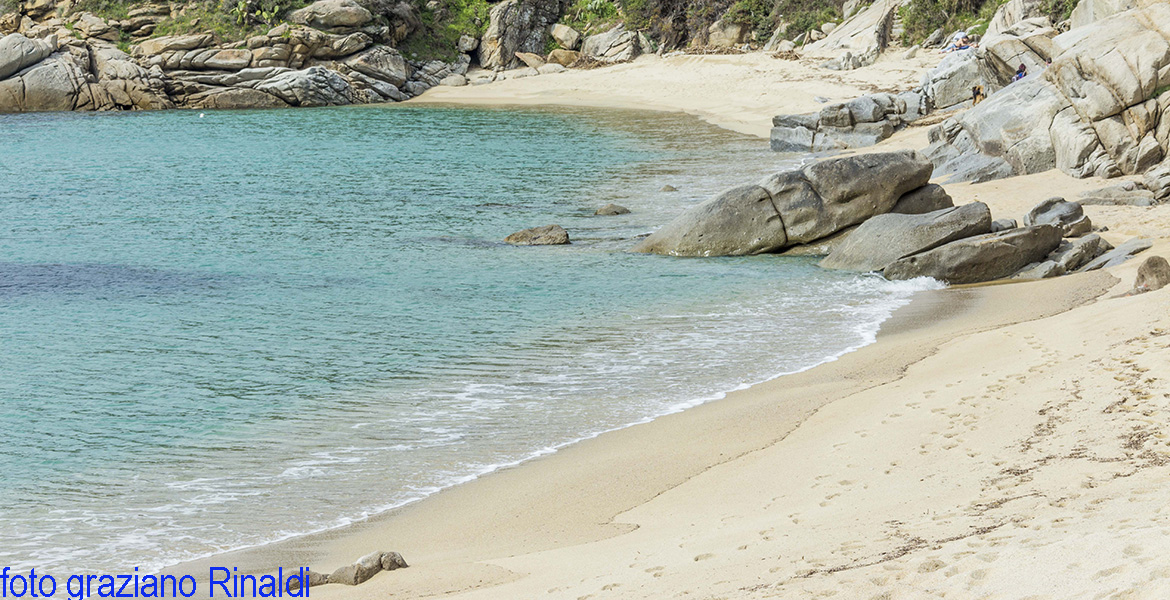 spiaggia di Cavoli d'inverno