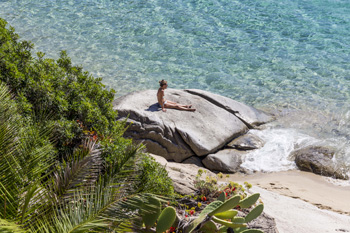 Foto: Cavoli dell’isola d’Elba